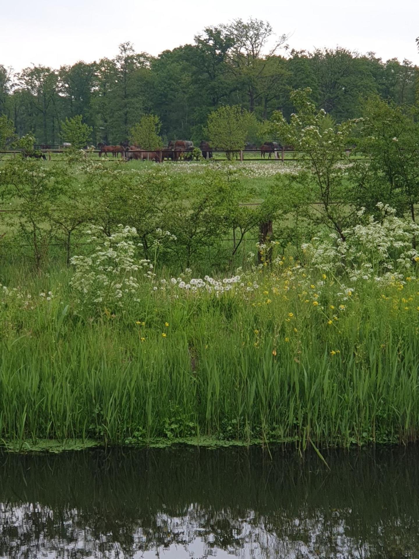 Landgoed De Lavei Bed & Breakfast Weleveld Eksteriør bilde